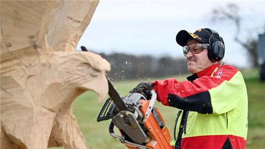 Der Kettensägen-Holzschnittkünstler Dieter Binder arbeitet an einer Skulptur in Form eines Adlers.