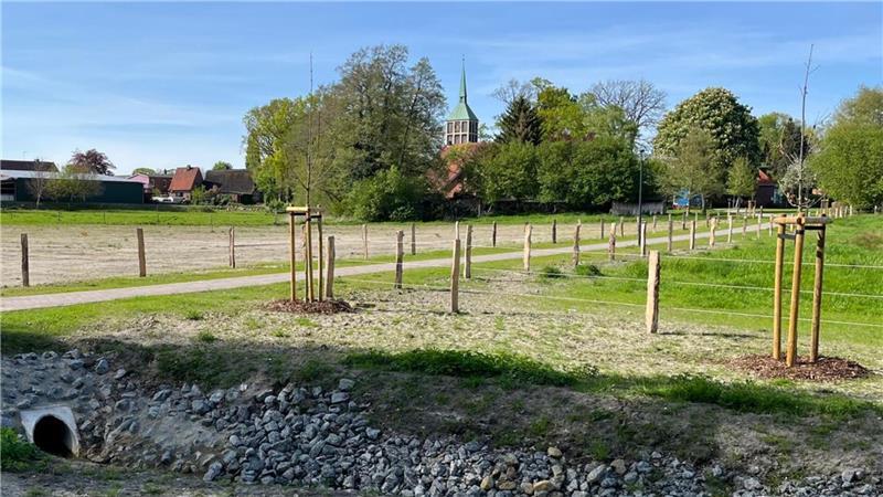Der Kirchturm von Bargstedt weist den Weg zum Gemeindehaus, wo am 10. Mai gefeiert wird.