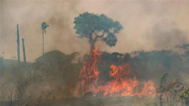Gesundheit zunehmend durch Klimawandel beeinträchtigt Der Klimawandel beeinträchtigt weltweit immer stärker die menschliche Gesundheit. (Archivbild)