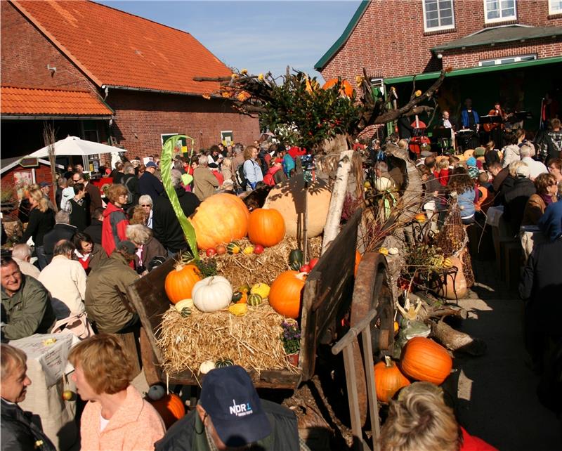 Der Kürbis und der Apfel in vielen Sorten und Geschmacksrichtungen stehen bei dem Hoffest in Jork im Mittelpunkt. Foto Richter