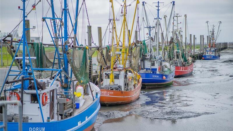 Der Kutterhafen in Dorum-Neufeld.