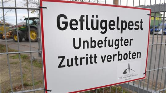 Der Landkreis Cuxhaven hat erste Schutzmaßnahmen nach dem Ausbruch ergriffen (ILLUSTRATION).