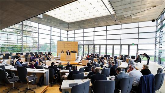 Der Landtag in Schleswig-Holstein hat sich mit der AfD auseinandergesetzt.