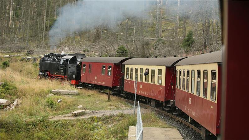 Zukunft der HSB - Bewerbung als Kulturerbe? Der Landtag will über die Zukunft der Harzer Schmalspurbahnen diskutieren. (Archivbild)