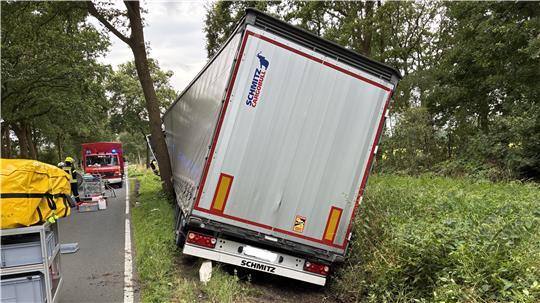 Der Lkw schrammte nur knapp am Baum vorbei.