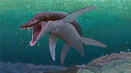 Der Lorrainosaurus gehört zu den ältesten bekannten Mega-Pliosauriern.