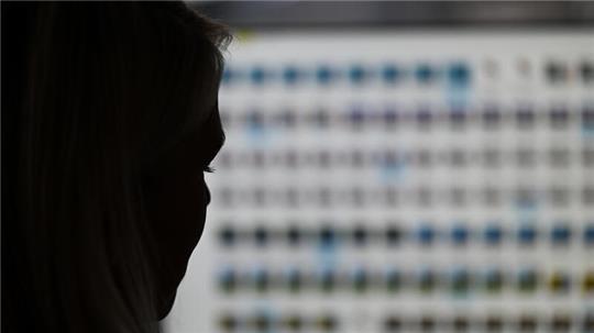 Eine Ermittlerin sitzt im Landeskriminalamt Hessen vor einem Monitor mit Fotodateien.