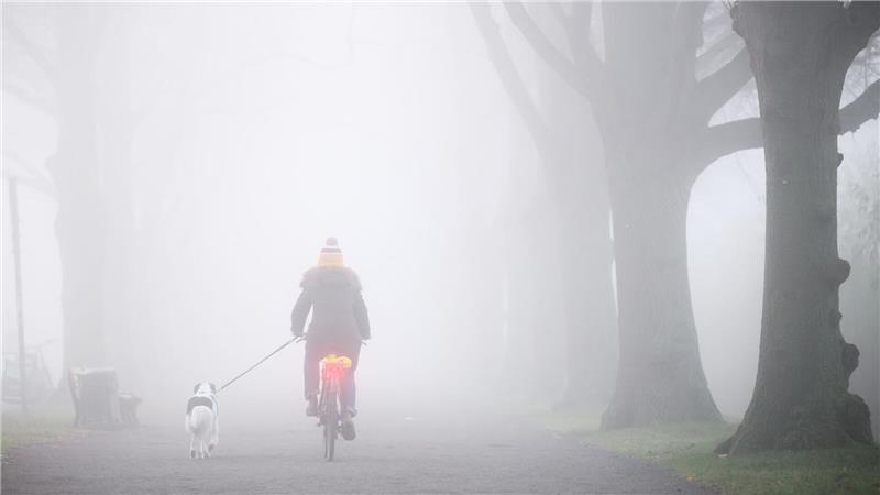 Der Montag startet oftmals bewölkt oder neblig trüb - aber vielerorts ist in den nächsten Tagen Besserung in Sicht.