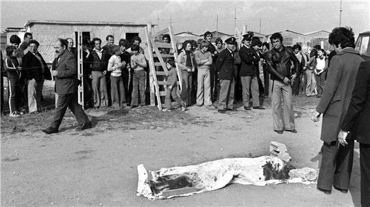 Mord an Pasolini beschäftigt Italien noch immer Der Mord an dem Regisseur Pier Paolo Pasolini beschäftigt Italien auch noch nach 50 Jahren. (Archivbild)