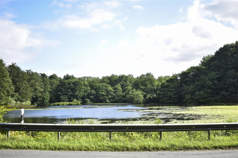 Der Mühlenteich gegenüber vom Il Mulino, dazwischen liegt die K1 (Im Mühlenfeld).