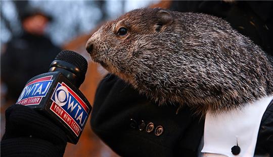 Der Murmeltierbetreuer A.J. Dereume hält "Punxsutawney Phil", das Waldmurmeltier, das das Wetter vorhersagt, während der 136. Feier des Murmeltiertages in Gobbler's Knob im Bundesstaat Pennsylvania. Foto (Archiv): Barry Reeger/ AP/dpa