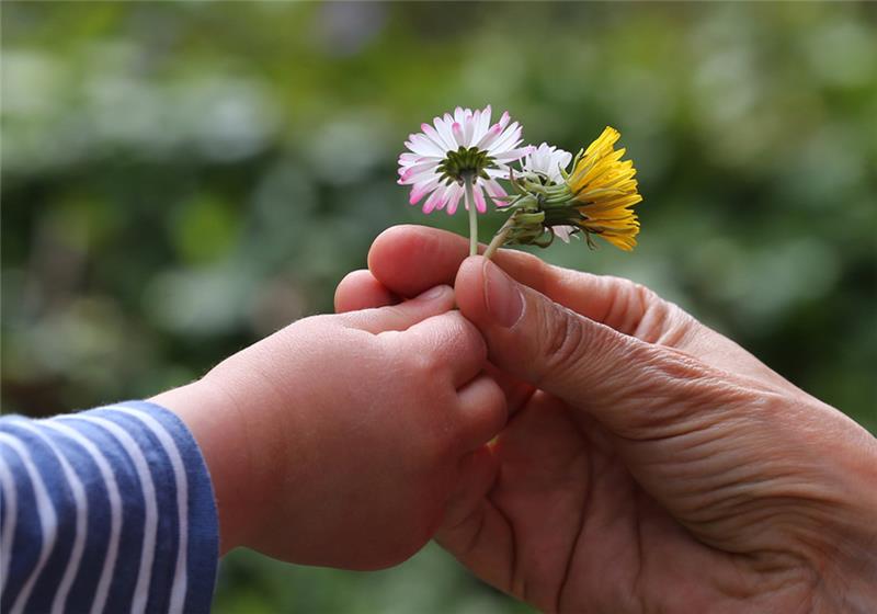 Der Muttertag in Deutschland - eine Initiative der Floristen. Foto: dpa