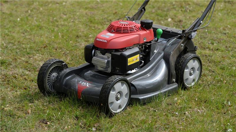 Der Nabu empfiehlt, im Mai auf das Rasenmähen zu verzichten. (Symbolbild)