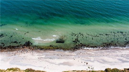 Der Nabu fordert das Verbot von Muschelbankzerstörungen in der Ostsee. (Symbolbild)