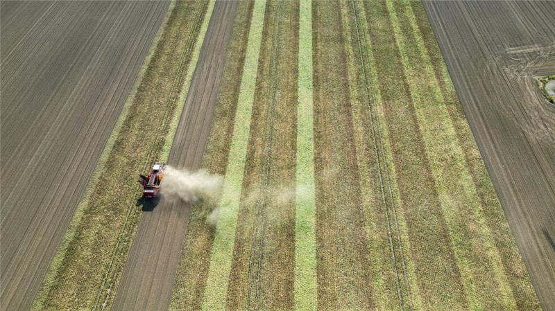 Kontroverser Vorschlag: Alle sollen für die Bauern zahlen Der Nabu kritisiert: Bislang passe sich die Landwirtschaft nur ungenügend dem Klimawandel an.