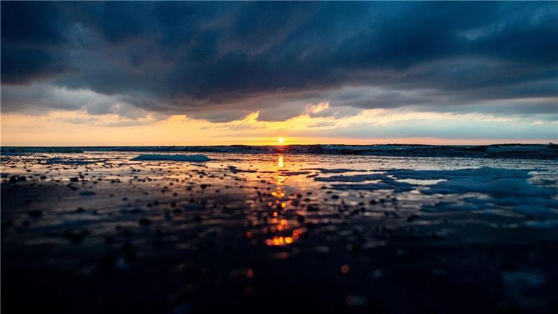 Der Nationalpark Niedersächsisches Wattenmeer feiert sein 40-jähriges Bestehen. (Archivbild)