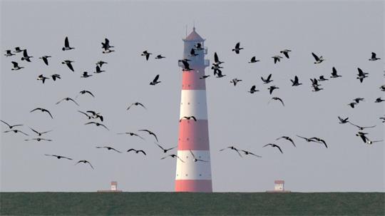 Der Nationalpark Schleswig-Holsteinisches Wattenmeer lädt vom 26. September bis zum 4. Oktober zum „Westküsten-Vogelkiek“. (Archivbild)
