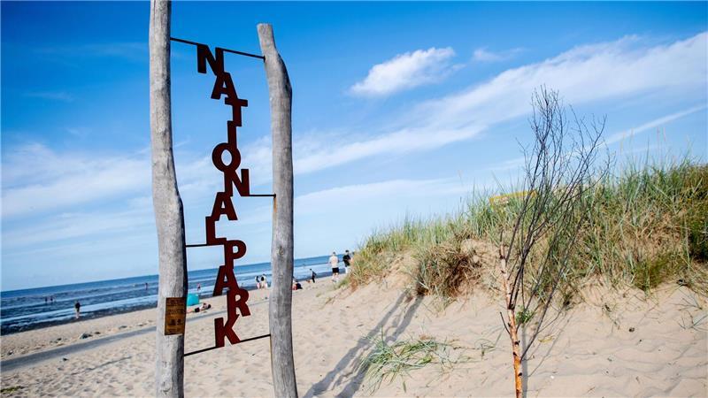 Der Nationalpark Wattenmeer feiert in diesem Jahr sein 40-jähriges Bestehen. (Archivbild)