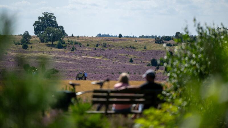 Der Naturpark Lüneburger Heide ist erweitert worden. Das Gebiet umfasst nun nun fast 110.000 Hektar. (Archivbild)