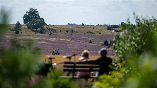 Der Naturpark Lüneburger Heide ist erweitert worden. Das Gebiet umfasst nun nun fast 110.000 Hektar. (Archivbild)