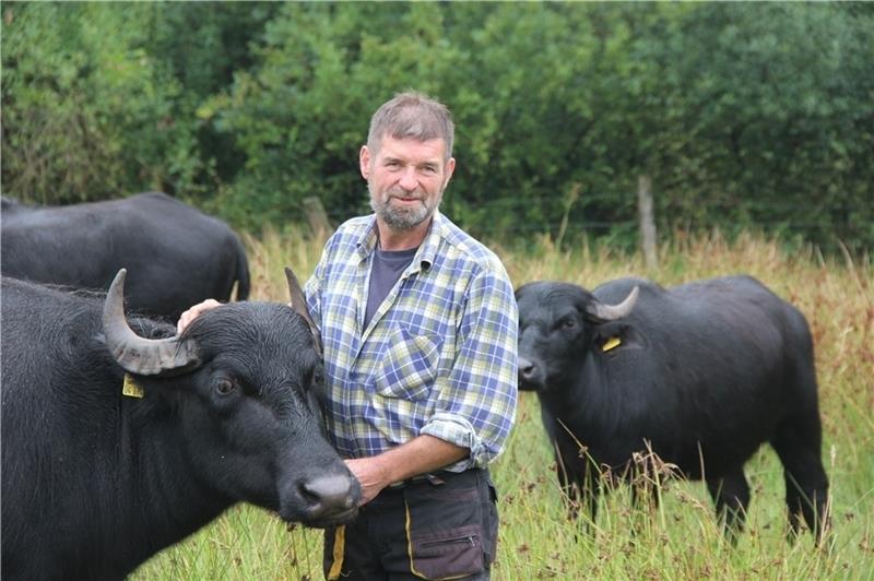 Der Neu Wulmstorfer Landwirt Gerhard Meyer mit seinen Wasserbüffeln im Neu Wulmstorfer Moor. Meyer züchtet die robusten Rinder seit 2014.