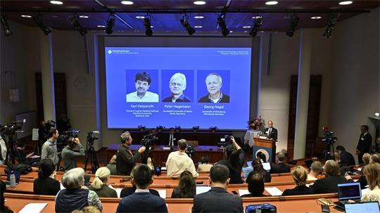 Der Nobelpreis für Medizin geht in diesem Jahr an die beiden Deutschen Peter Hegemann und Georg Nagel sowie den US-Forscher Karl Deisseroth.