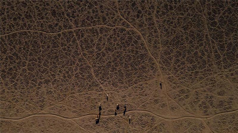 Der Norden Chiles hat seit Jahren mit einer Dürre zu kämpfen. (Archivbild)