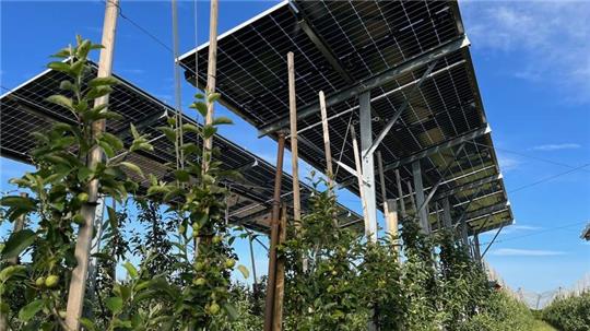 Der Obstbau will in Zukunft Äpfel und Solarstrom ernten, im Obstbauzentrum Esteburg in Moorende gibt es eine erste Versuchsanlage.