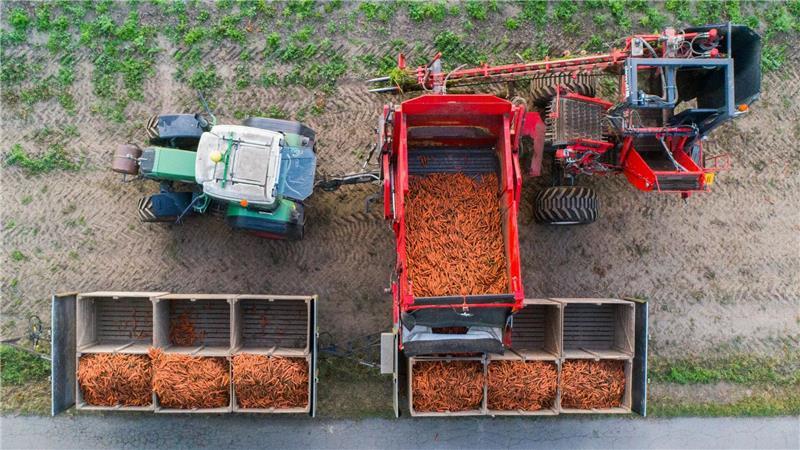 Der Öko-Anteil an der Agrarfläche wächst nur sehr langsam. (Archivbild)