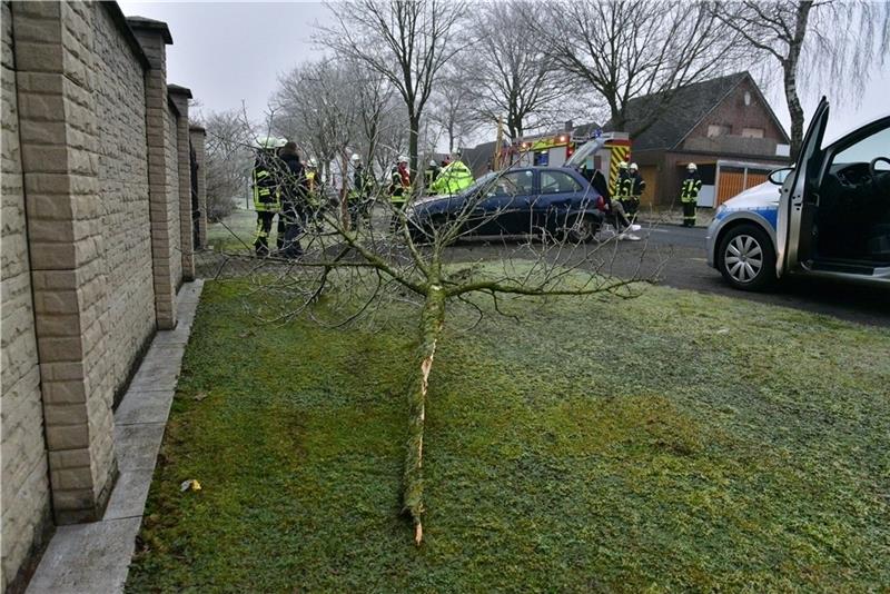 Der Opel Corsa hat den Baumstamm zerrissen, das Auto erlitt einen Totalschaden. Foto: Beneke