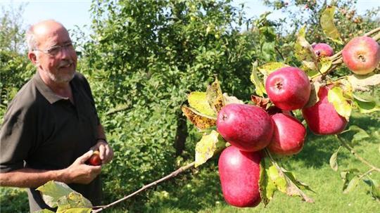 Der Osterbrucher Reimer Esselborn gibt in seiner Arche alten Obstsorten eine Chance.
