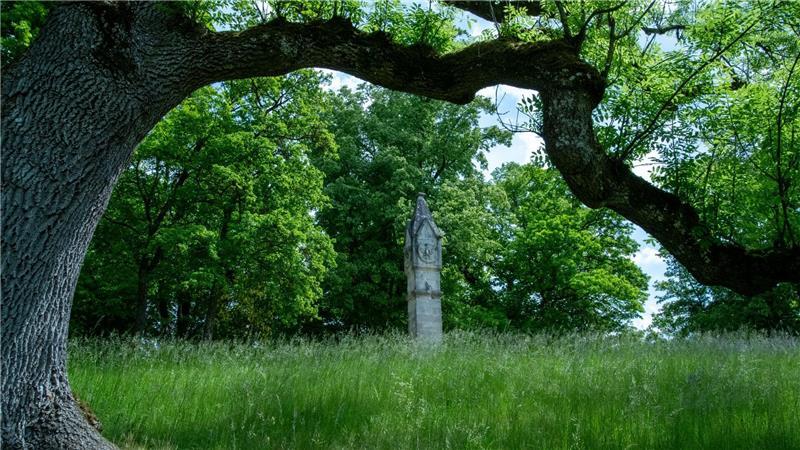 Historische Parkanlagen im Klimastress Der Park des Schlosses Rosenau bei Coburg in Bayern.