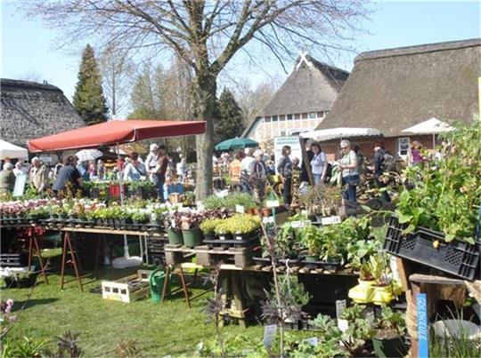 Der Pflanzen- und Staudenmarkt auf dem Beekhoff zieht jedes Jahr im Frühjahr Besucher aus der ganzen Region an.