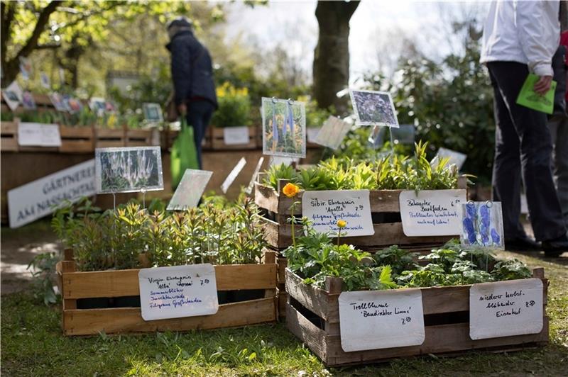 Der Pflanzenmarkt im Frühjahr.