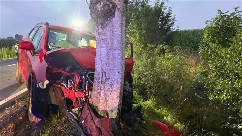 Der Pkw ist gegen einen Baum geprallt.