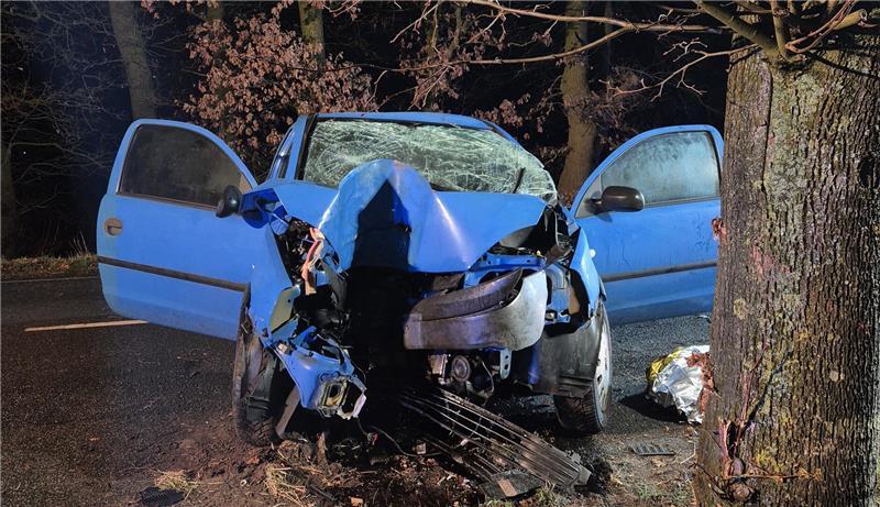 35-jährige Autofahrerin kracht gegen Baum – Frau stirbt im Krankenhaus Der Pkw von vorne, zu erkennen sind die Spuren des Baums. Foto: Gemeindepressesprecher, S. Eriksen