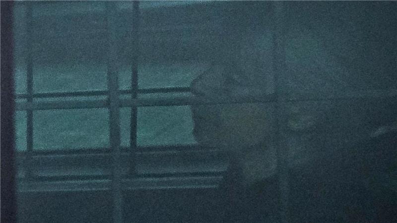 Der Prozess gegen die ehemalige RAF-Terroristin Daniela Klette hat begonnen. Die Staatsanwaltschaft wirft der 66-Jährigen versuchten Mord, versuchten und vollendeten schweren Raub sowie unerlaubten Waffenbesitz bevor.