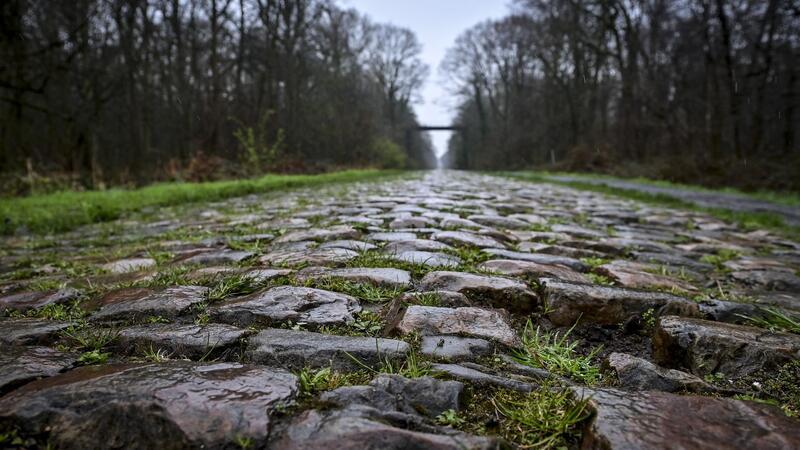 Der Rad-Klassiker Paris-Roubaix findet am Sonntag statt. Vor dem Arenberg-Wald soll nun eine Schikane das Fahrerfeld abbremsen.