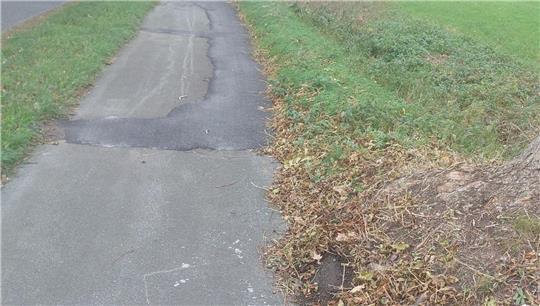 Der Radweg an der K41 ist in einem schlechten Zustand und wird saniert sowie verbreitert.