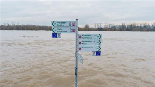 Hochwasser am Rhein geht langsam zurück  Der Radweg mit Beschilderung am Rheinufer im Ortsteil Mittelheim (Oestrich-Winkel) steht komplett unter Wasser.