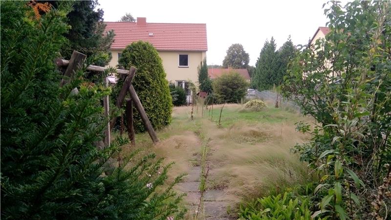 Der Rasen wird zur Steppe: Blick auf den Garten eines der drei leerstehenden Reihenhäuser im Besitz der Bundesanstalt für Immobilienaufgaben am Tannenweg in Buxtehude. Foto: Koch-Böhnke