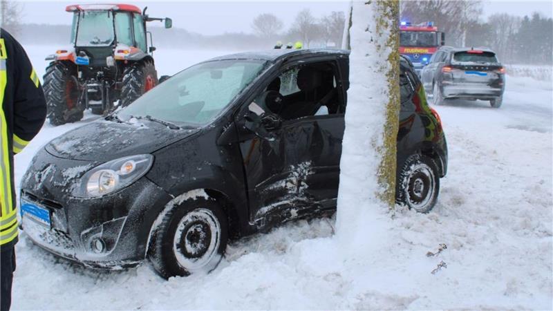 Der Renault Twingo ist an der L124 seitlich gegen den Baum geprallt.