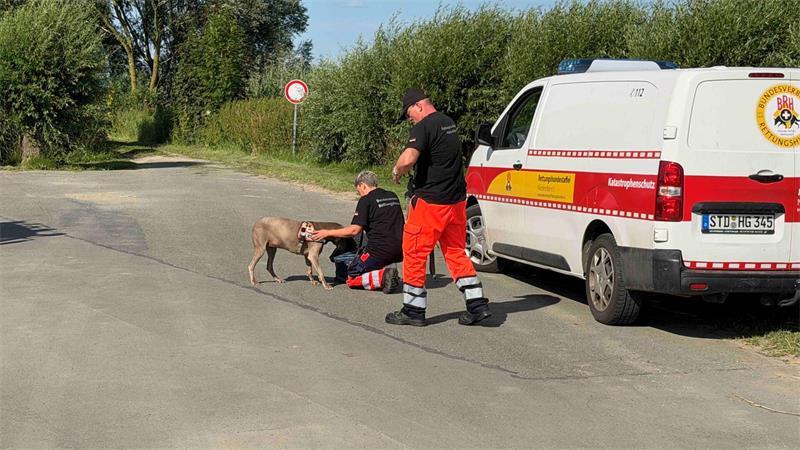 Trächtige Hündin in Barnkrug entlaufen – Rettungshunde im Einsatz Der Rettungshund nimmt eine Spur auf – in dem Sack befindet sich eine Decke von Hündin Frieda.
