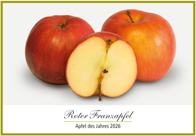 Der „Rote Franzapfel“ - eine dunkelrote und dekorative Frucht.