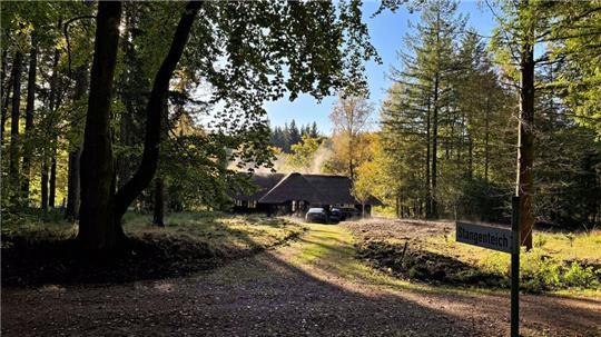 Der Sachsenwald hat von 2021 bis einschließlich 2023 fehlerhaft Geld aus dem kommunalen Finanzausgleich erhalten. (Symbolbild)