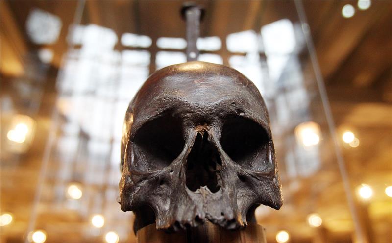 Der Schädel des Seeräubers Klaus Störtebeker, aufgenommen im Museum für Hamburgische Geschichte in Hamburg. Foto: picture alliance / dpa