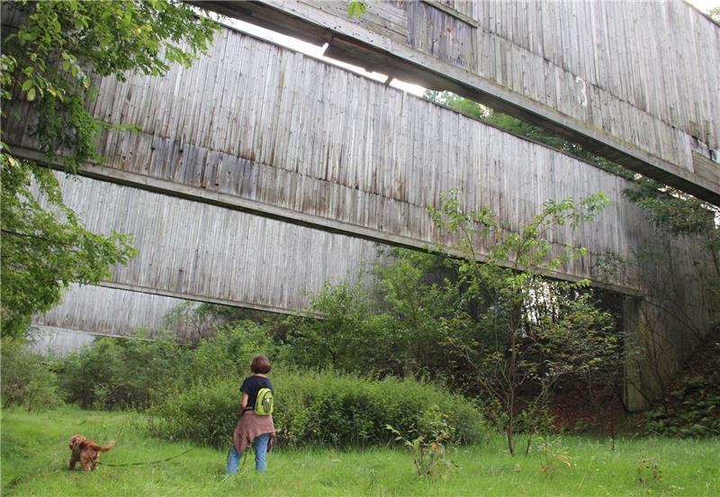 Der Schießstand wächst nach und nach zu. Foto: Michaelis