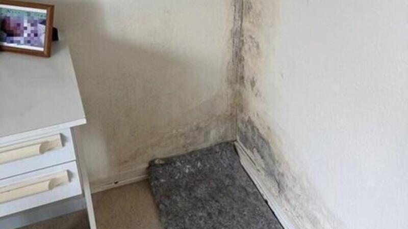 Schimmelwohnung: 94-Jährige erhebt schwere Vorwürfe Der Schimmel dehnt sich über immer mehr Räume aus und hat längst das Schlafzimmer erreicht.