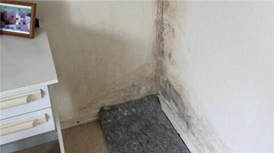 Der Schimmel dehnt sich über immer mehr Räume aus und hat längst das Schlafzimmer erreicht.