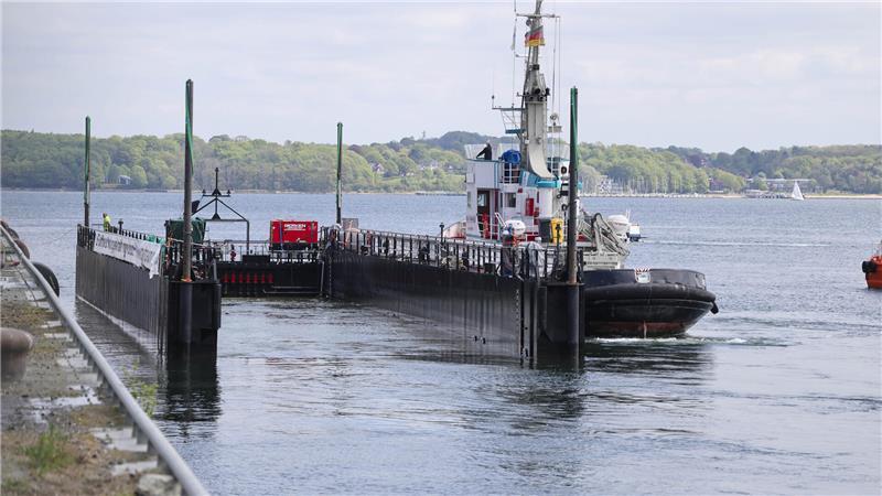 Wal ist frei: „Fortuna B“ abgeschirmt in Cuxhaven – GPS-Signal wirft Fragen auf Der Schlepper „Robin Hood“ und die Barge legten indes am Kieler Scheerhafen an.